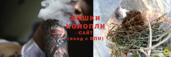 бошки Козельск