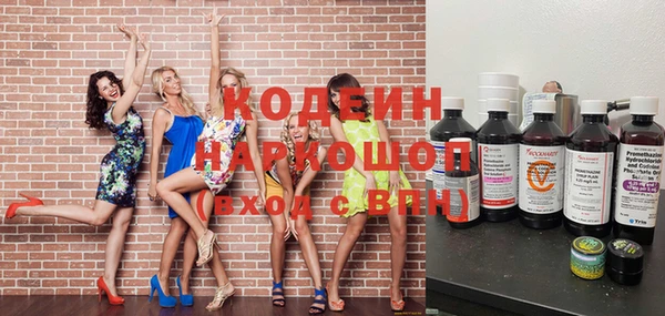 хмурый Кодинск