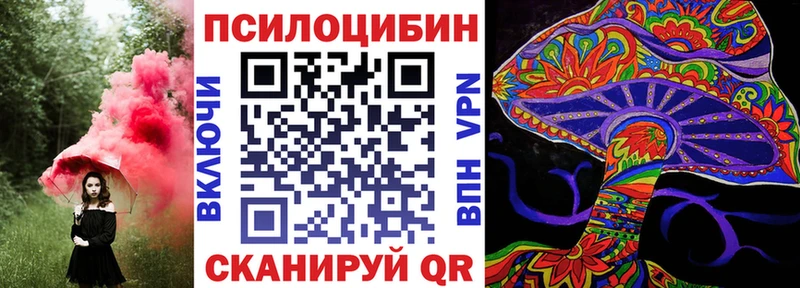 Псилоцибиновые грибы Psilocybine cubensis Углич