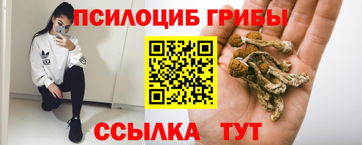 Галлюциногенные грибы ЛСД  Вход с VPN  Углич  Галлюциногенные грибы Psilocybine cubensis 