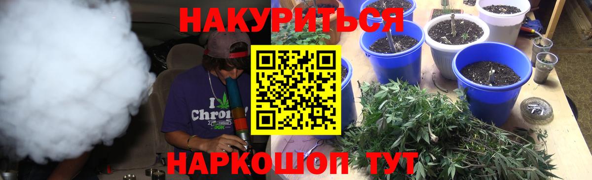 Конопля гибрид Углич